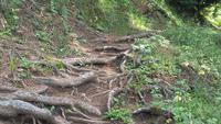 Interlaken, Harder Kulm, unsere Wanderung