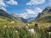 Julierpass