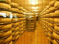 Käse braucht Ruhe