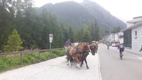 Kutschfahrt ins Val Roseg