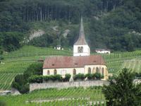 Ligerz am Bielersee