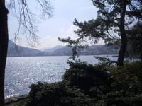 Luganer See