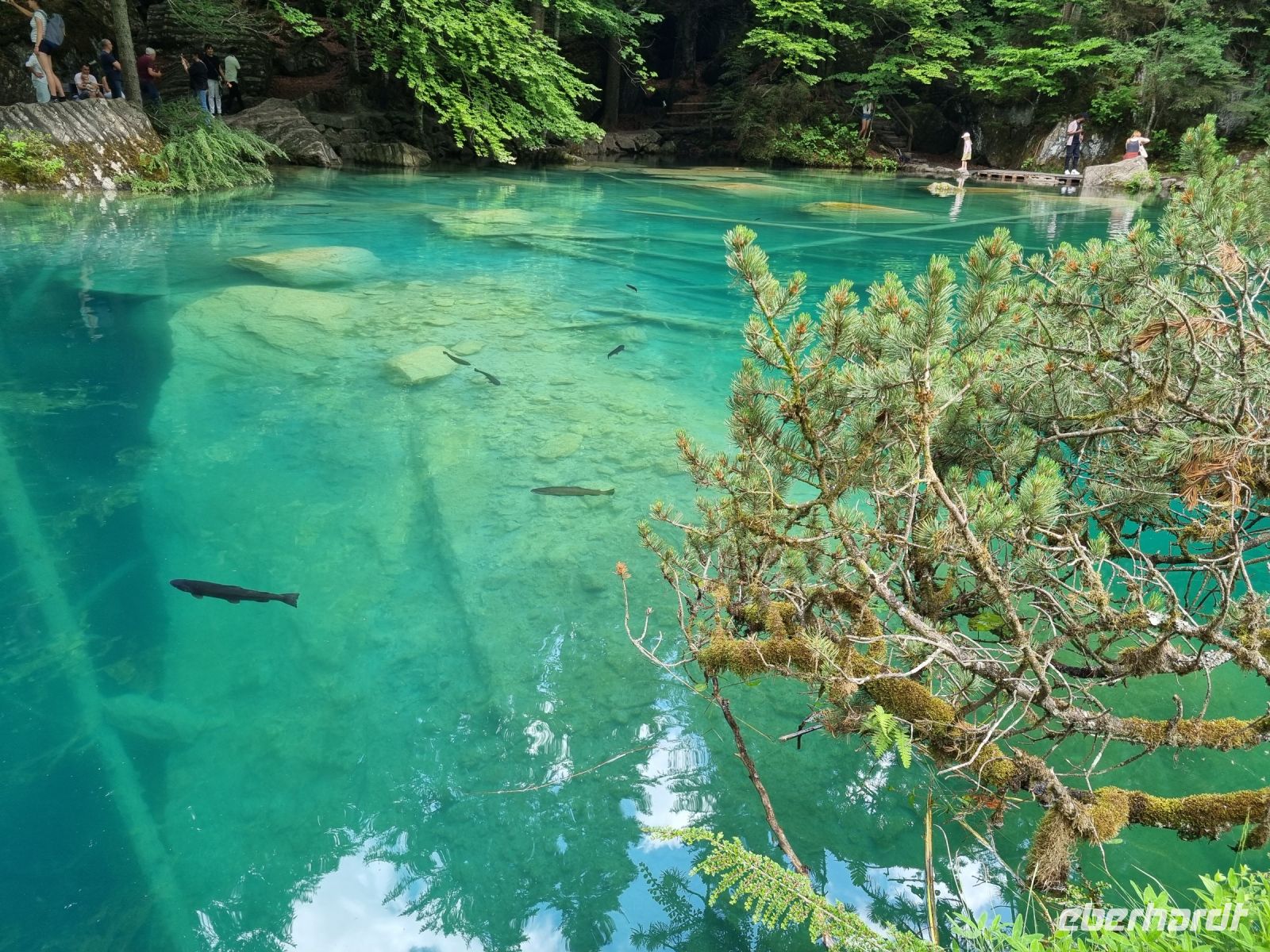 Naturpark Blausee