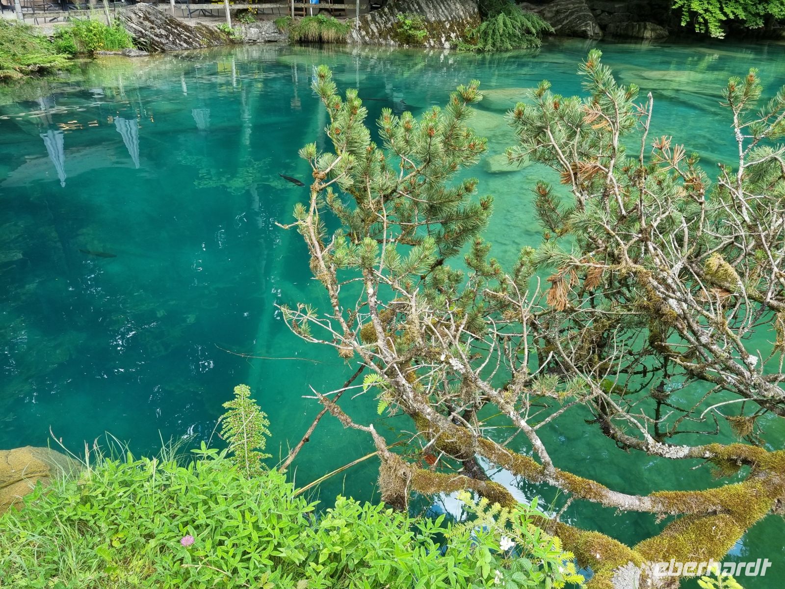 Naturpark Blausee