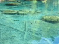 Naturpark Blausee