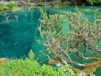 Naturpark Blausee