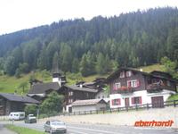 Niederwald im Goms