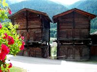 Niederwald