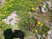 Nufenenpass