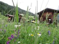 Oberwald