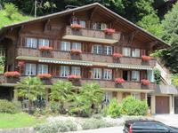 Palmen in Brienz
