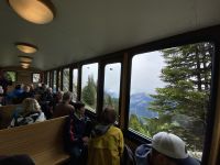 Panoramafenster