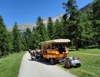 Pferdekutschfahrt ins Val Roseg