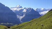 Rückfahrt mit der First-Bahn nach Grindelwald