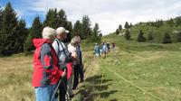Riederalp - Wanderung zur Bettmeralp