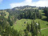 Rigi