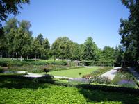 Rosengarten in Bern