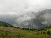 Rothorn - Wanderung auf dem Blumenweg von der Station 