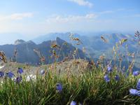 Säntis