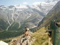 Saas Fee
