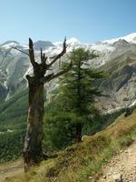 Saas Fee