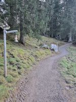 Schwägalp - 