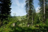 Schwägalp-Rundgang