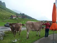 Schwägalp