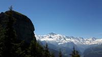 Schynige Platte (3)