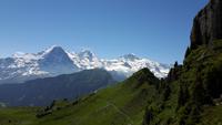 Schynige Platte (4)