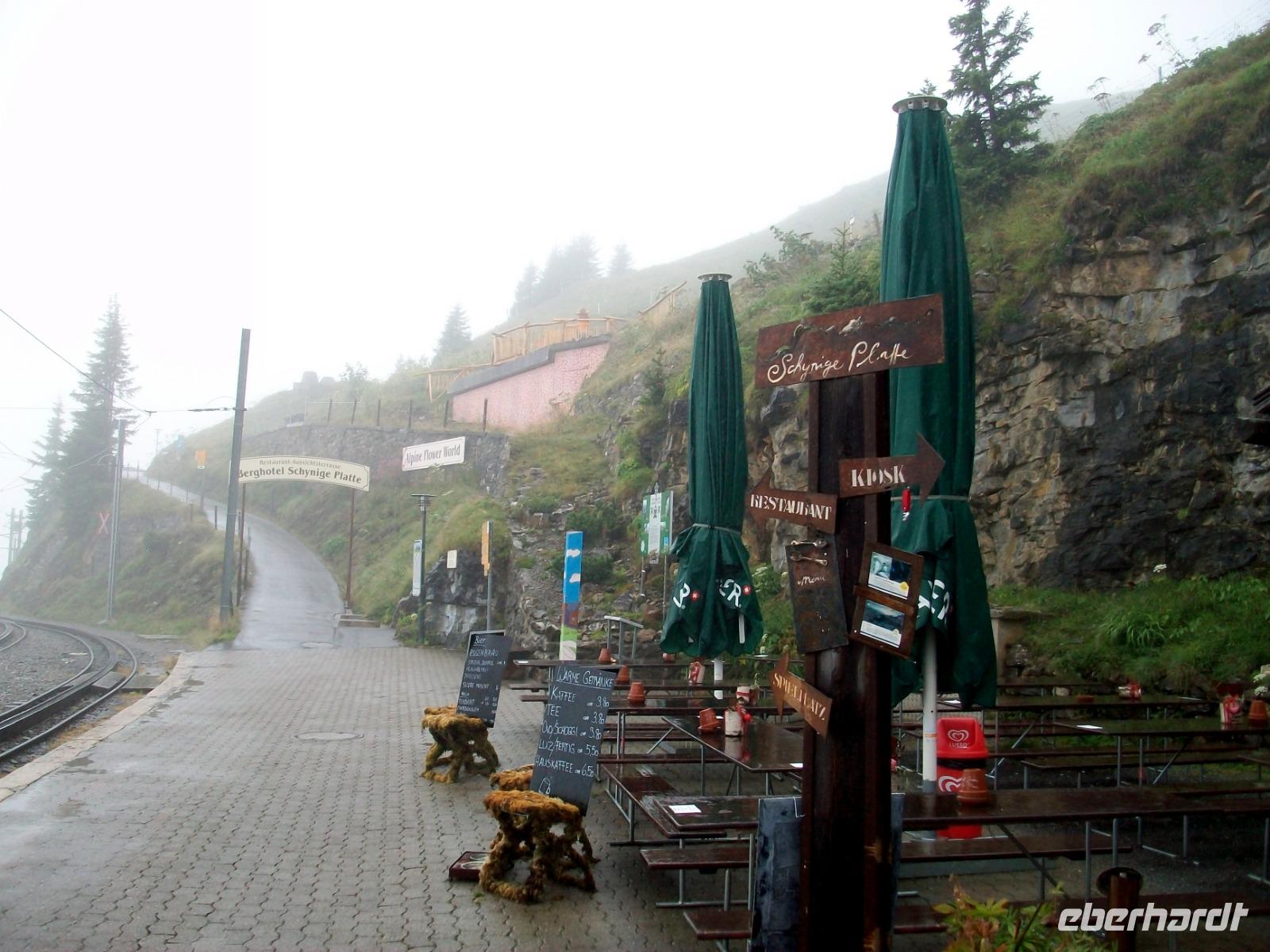 Schynige Platte 