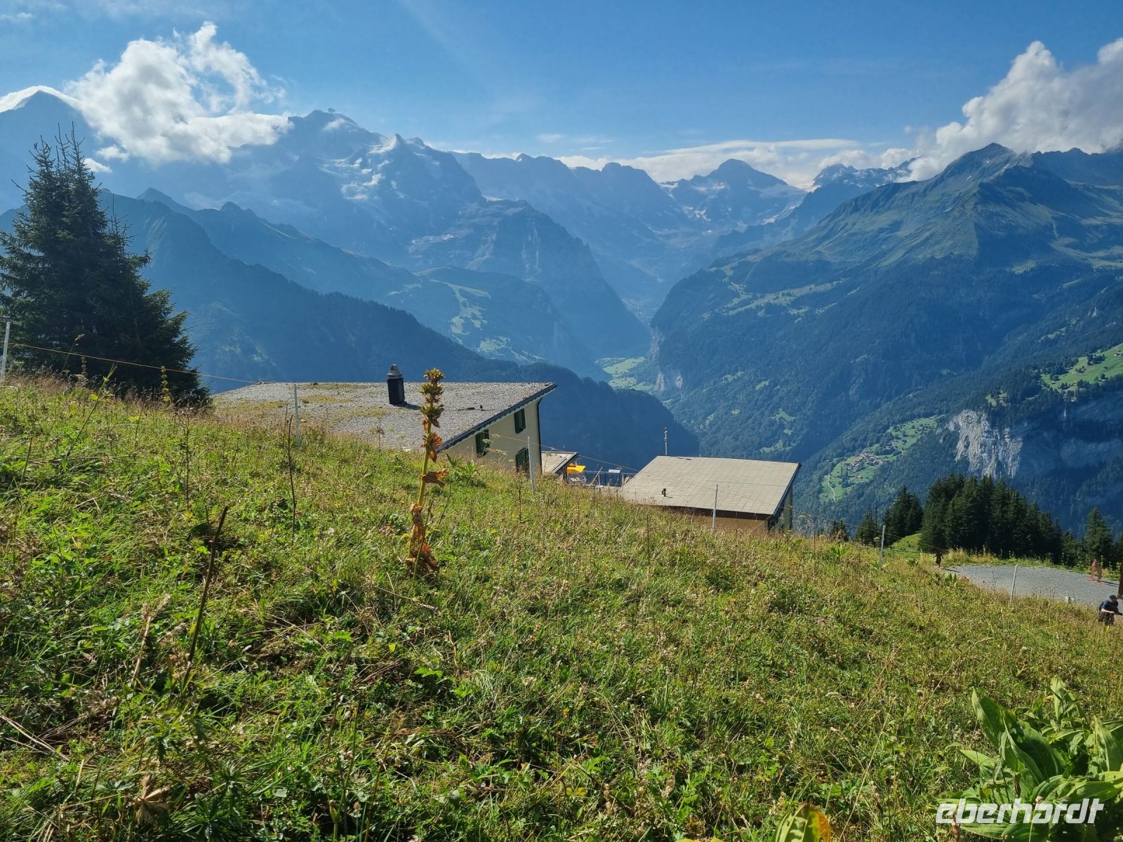 Schynige Platte 