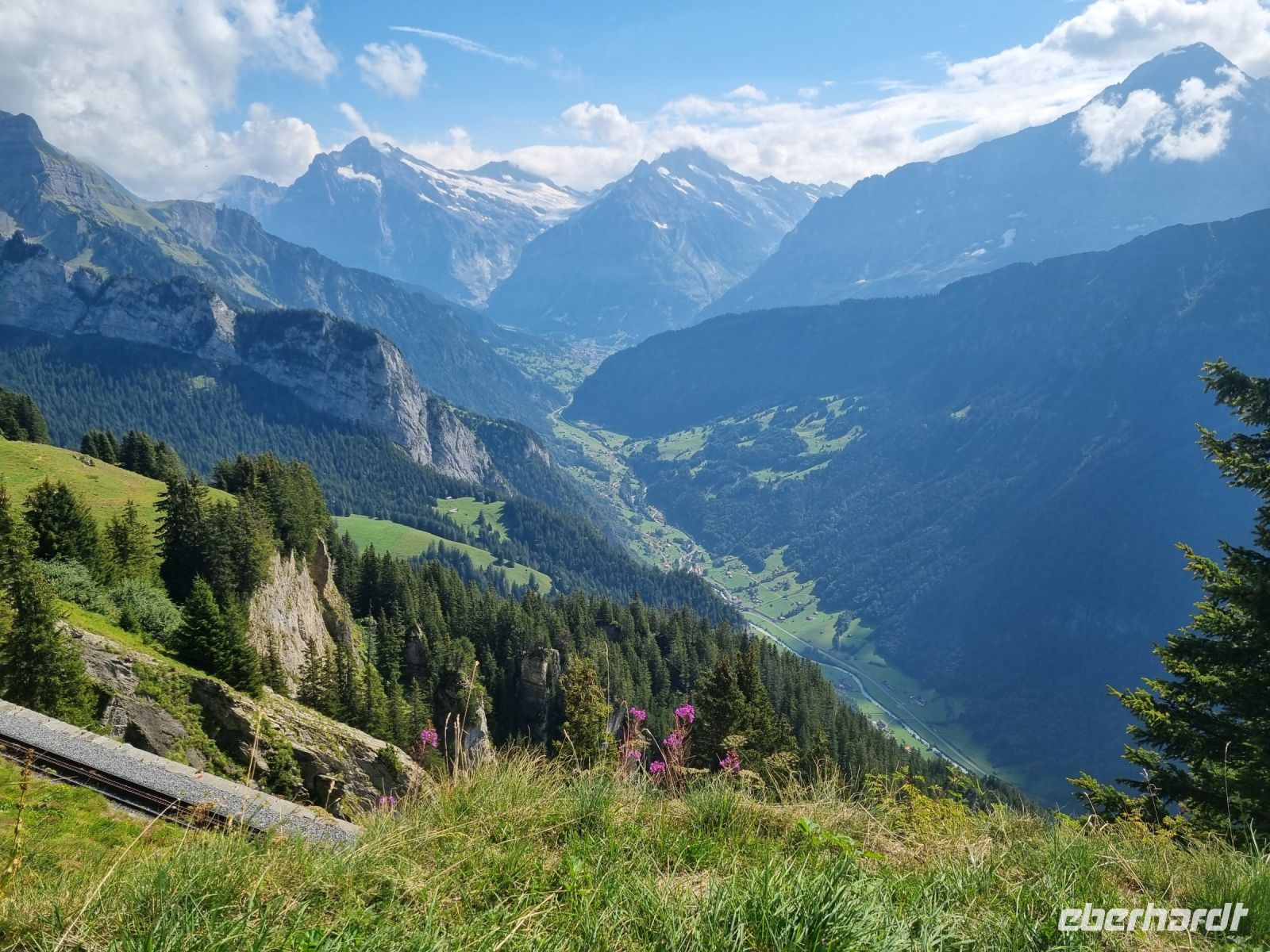 Schynige Platte 