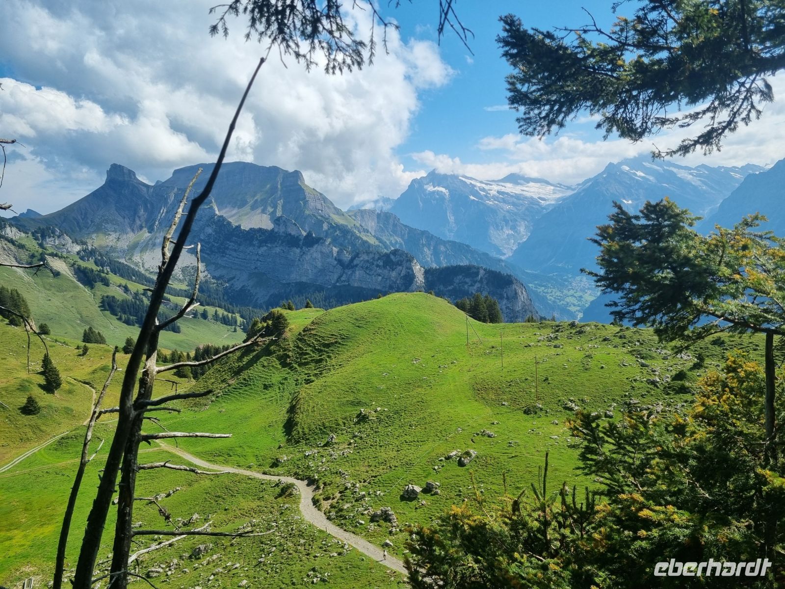 Schynige Platte 