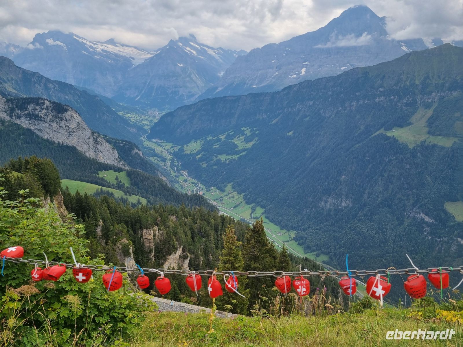 Schynige Platte 