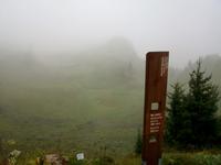 Schynige Platte 