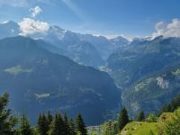 Schynige Platte 