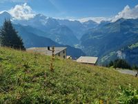 Schynige Platte 