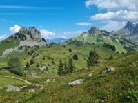 Schynige Platte 