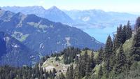 Schynige Platte