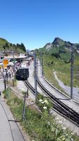 Schynige Platte