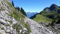 Schynige Platte