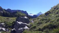Schynige Platte