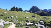 Schynige Platte