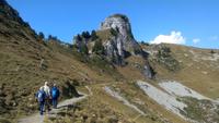 Schynige Platte