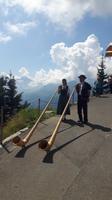 Schynige Platte