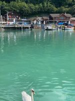 See und Schwan