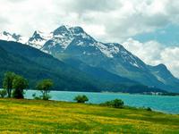 Silvaplanasee