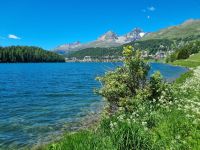St. Moritzersee