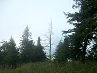 Stanserhorn